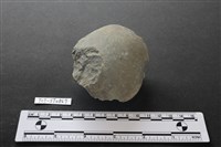 藏品(砍砸器)的圖片