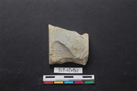 藏品(帶加工痕石材)的圖片