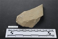 藏品(巴圖形器)的圖片