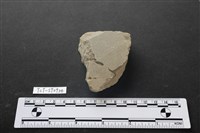 藏品(巴圖形器)的圖片