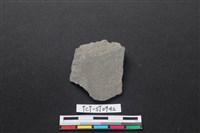 藏品(巴圖形器)的圖片