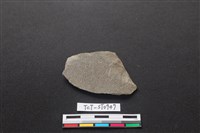 藏品(巴圖形器)的圖片