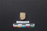 藏品(錛鑿形器)的圖片