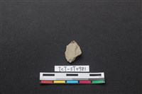 藏品(磨製石器)的圖片