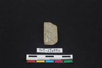 藏品(錛鑿形器)的圖片