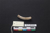 藏品(玉環)的圖片