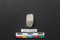 藏品(錛鑿形器)的圖片