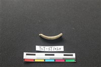 藏品(玉環)的圖片