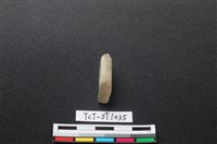 藏品(錛鑿形器)的圖片