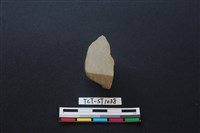 藏品(錛鑿形器)的圖片