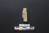 藏品(錛鑿形器)的圖片