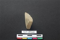 藏品(錛鑿形器)的圖片