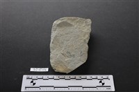 藏品(斧鋤形器)的圖片