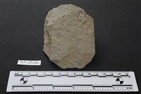 藏品(斧鋤形器)的圖片