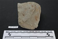 藏品(斧鋤形器)的圖片