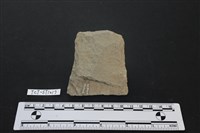藏品(斧鋤形器)的圖片