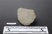 藏品(斧鋤形器)的圖片