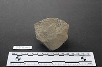 藏品(斧鋤形器)的圖片