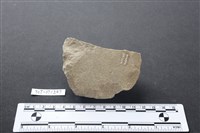 藏品(斧鋤形器)的圖片