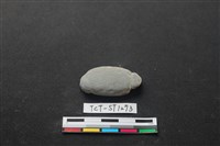 藏品(網墜)的圖片