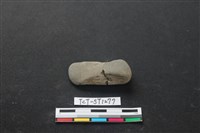 藏品(網墜)的圖片