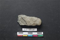 藏品(網墜)的圖片