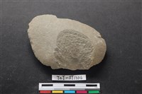 藏品(石片器)的圖片