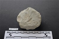 藏品(砍砸器)的圖片