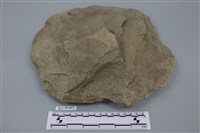 藏品(石核)的圖片