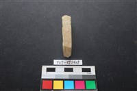 藏品(錛鑿形器)的圖片