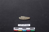 藏品(磨製石器)的圖片