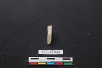 藏品(錛鑿形器)的圖片