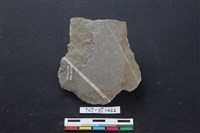 藏品(磨製斧鋤形器)的圖片