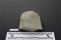 藏品(斧鋤形器)的圖片