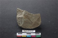 藏品(斧鋤形器)的圖片