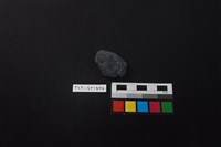 藏品(網墜)的圖片