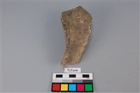 藏品(陶片)的圖片