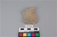 藏品(陶片)的圖片