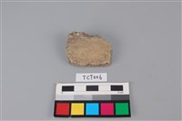 藏品(陶片)的圖片
