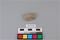 藏品(陶片)的圖片
