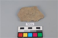 藏品(陶片)的圖片