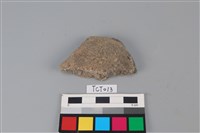 藏品(陶片)的圖片