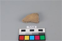 藏品(陶片)的圖片