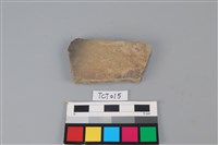 藏品(陶片)的圖片