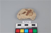 藏品(陶片)的圖片