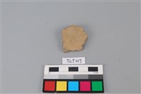 藏品(陶片)的圖片
