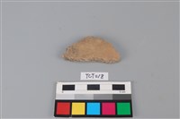 藏品(陶片)的圖片