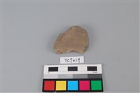 藏品(陶片)的圖片