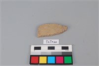 藏品(陶片)的圖片