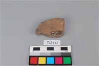 藏品(陶片)的圖片